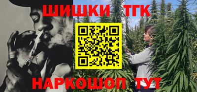гидра Заводоуковск