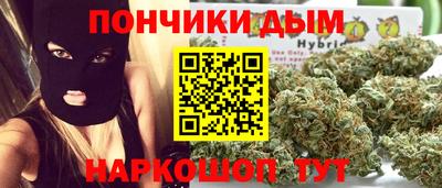 гидра Заводоуковск