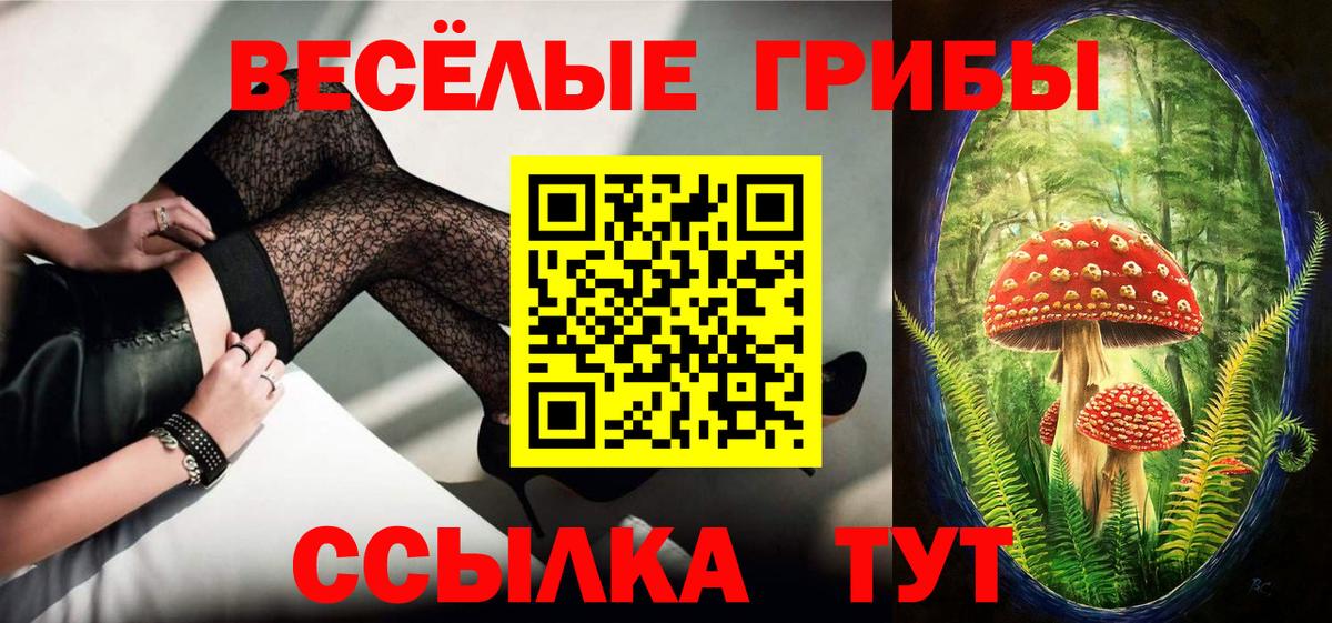 Псилоцибиновые грибы мухоморы  как найти закладки  Минеральные Воды  Вход с VPN 